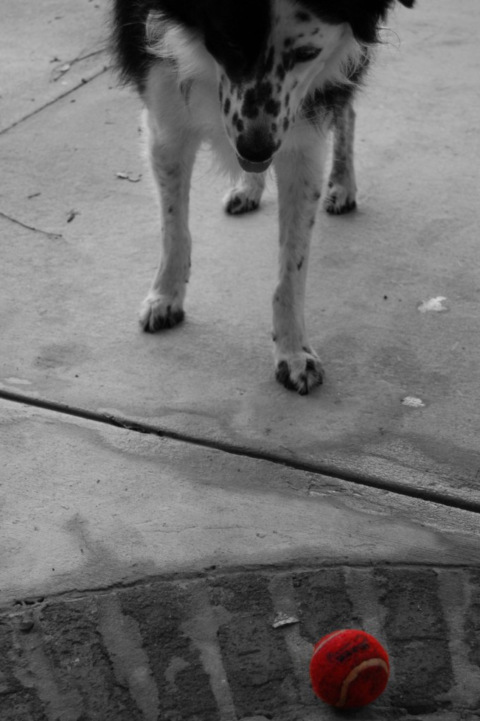 tumblr_lcqeepot251qcez1vo7_1280