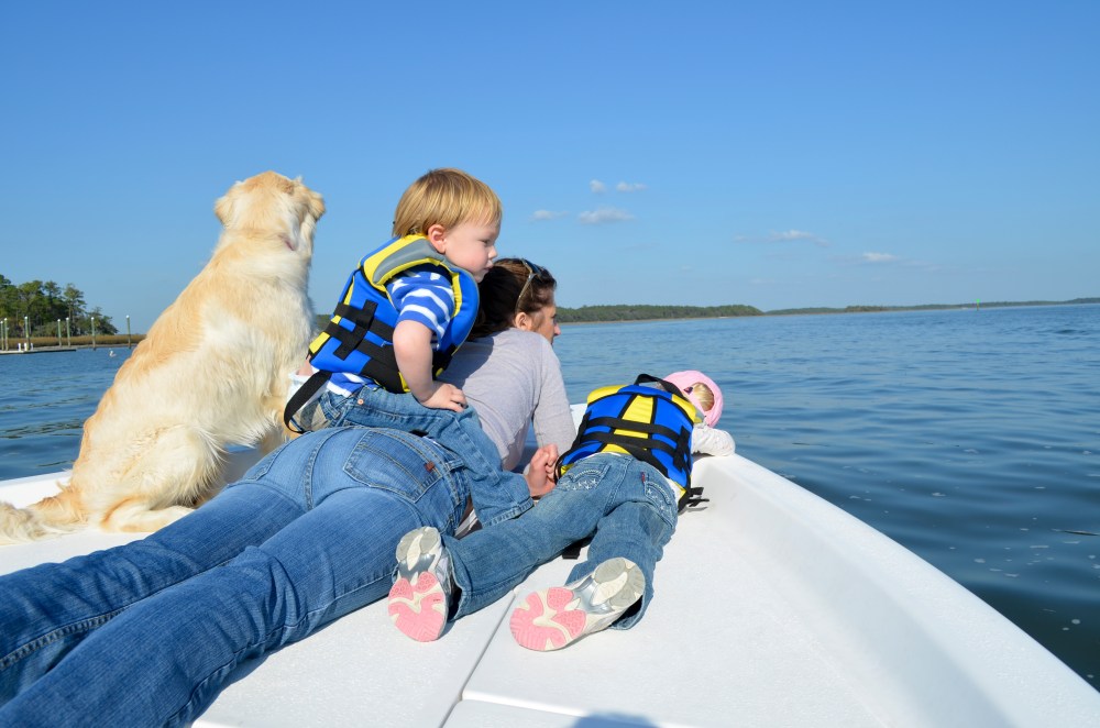 Someone found the best seat in the house!