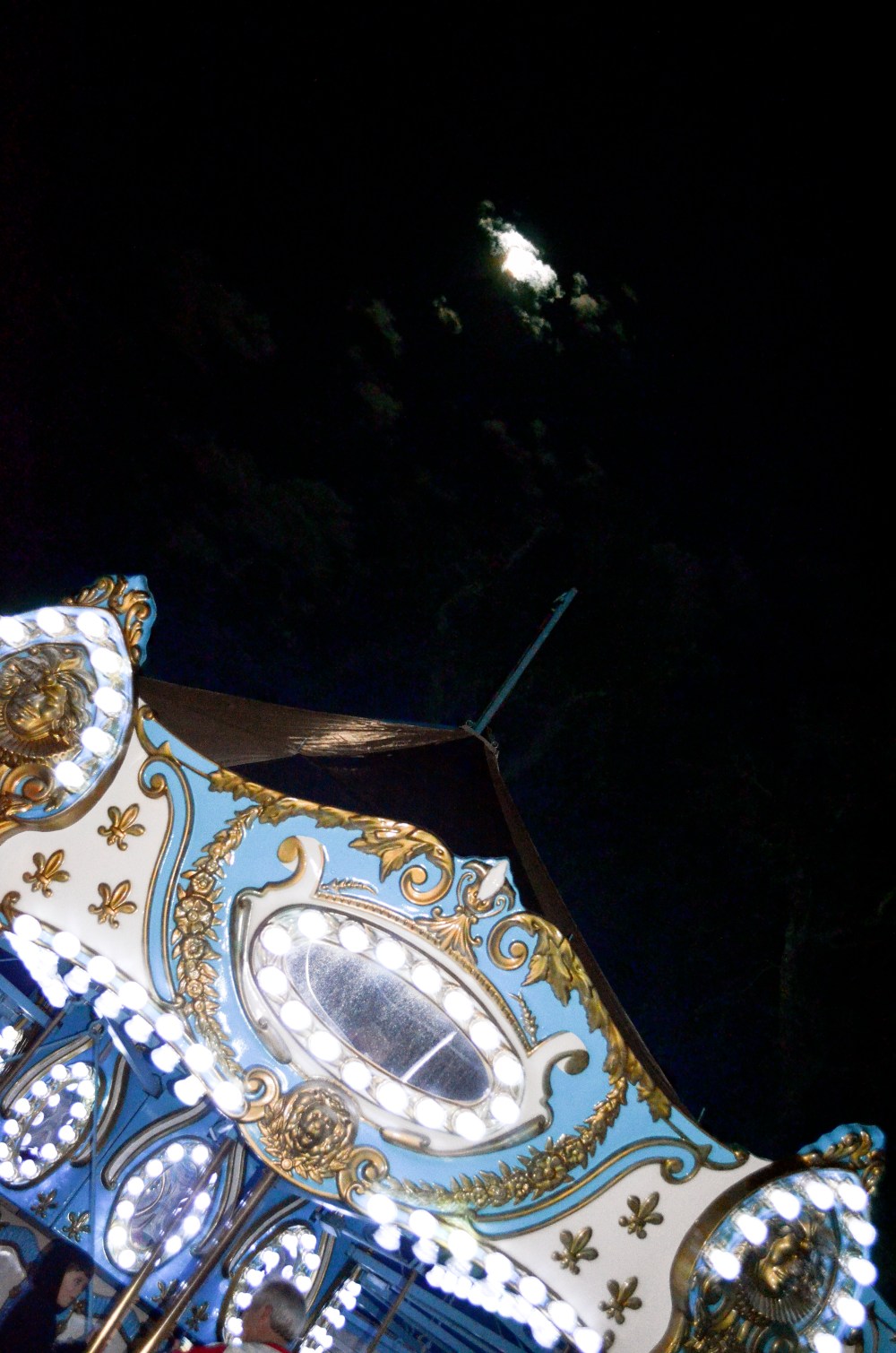 James Island County Park  opens around Thanksgiving weekend for the Festival of Lights.  First stop?  Carousel!