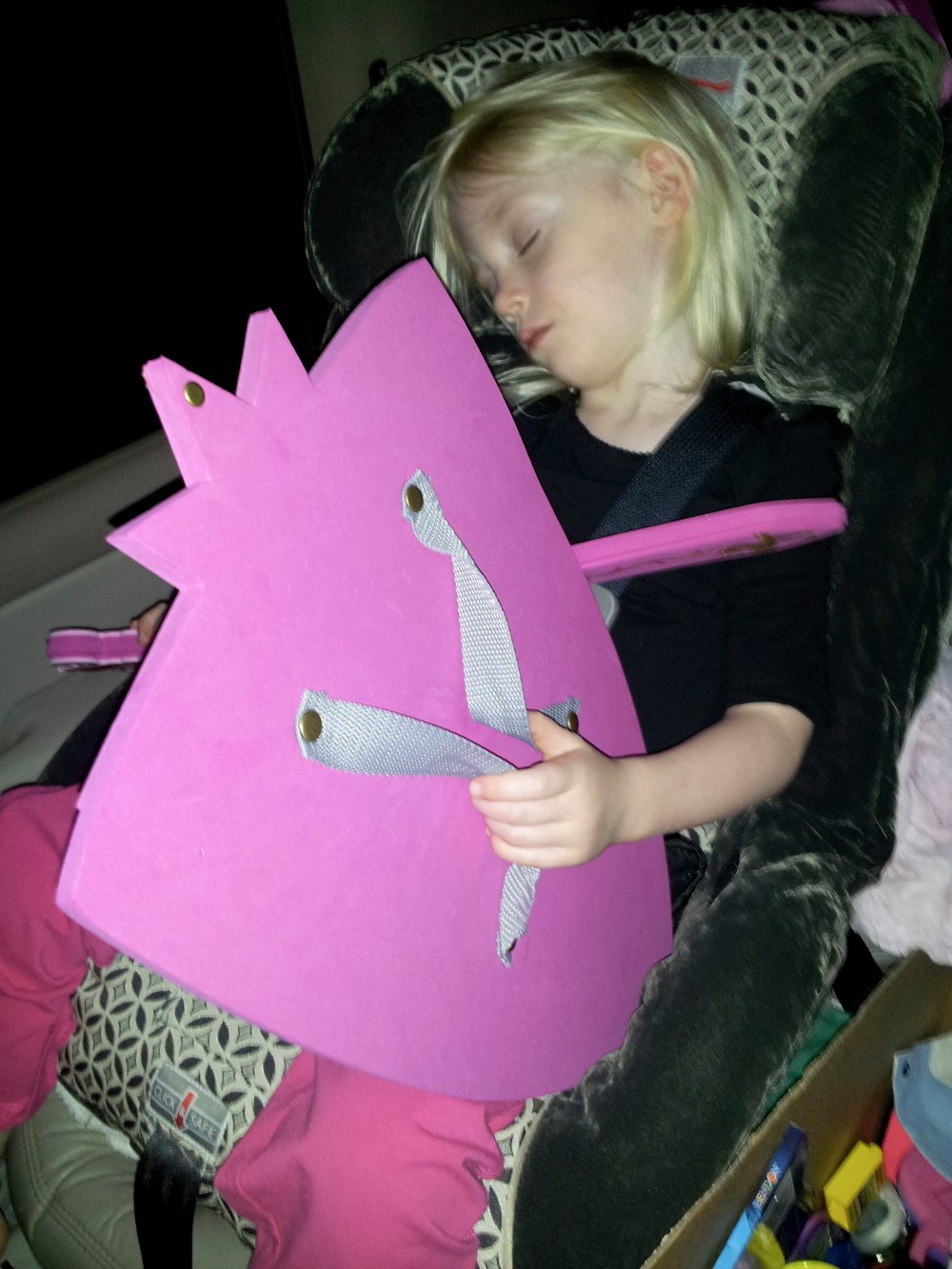 We got the sword and shield at LEGOLAND.  It was Heidi's prize of the weekend.