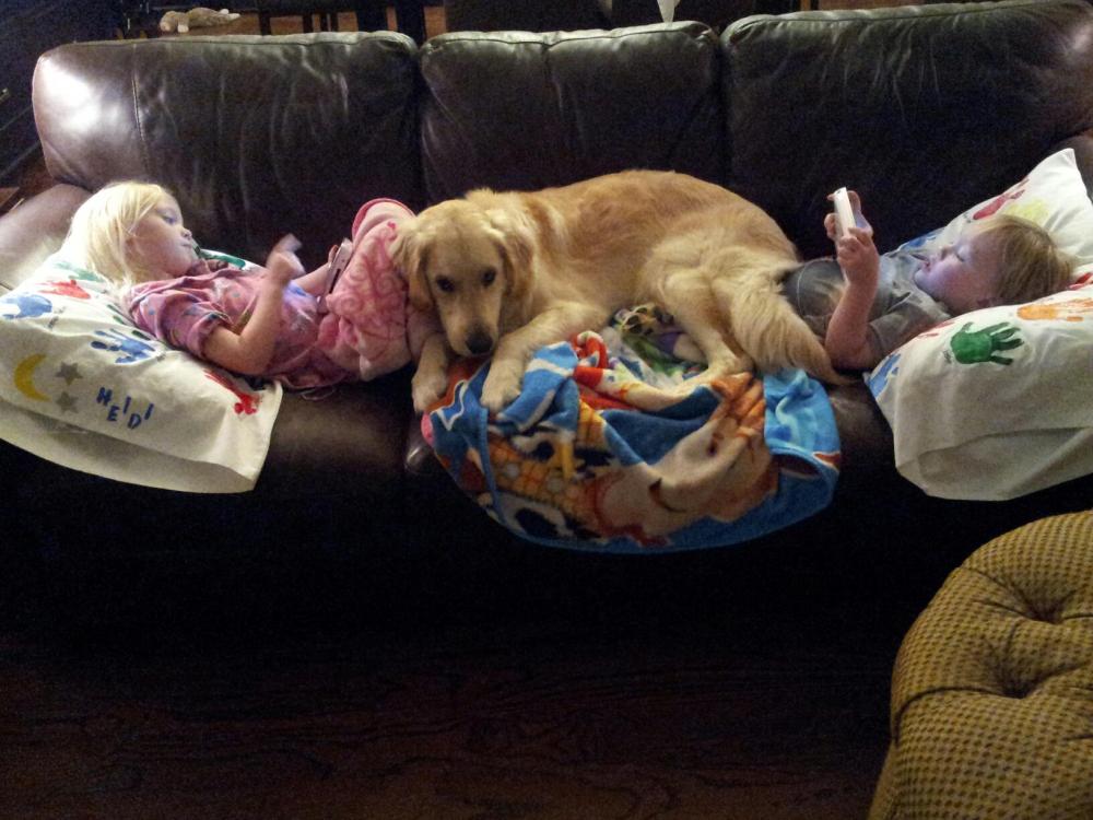 882265_10151478971714197_1009323124_o (1)