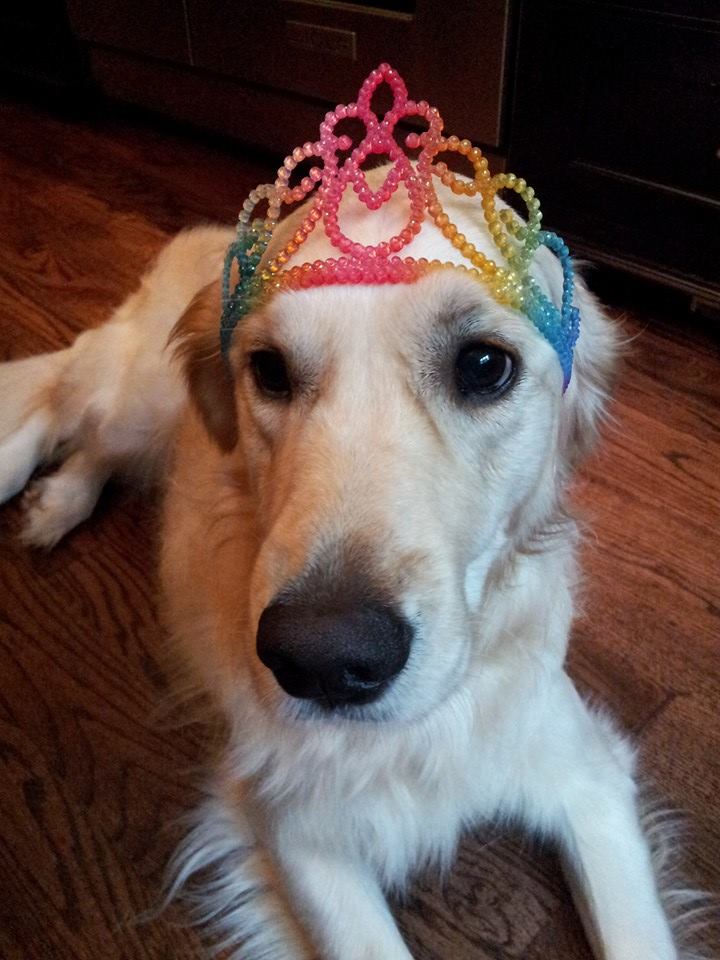 1526799_10152106064289197_1895645009_n