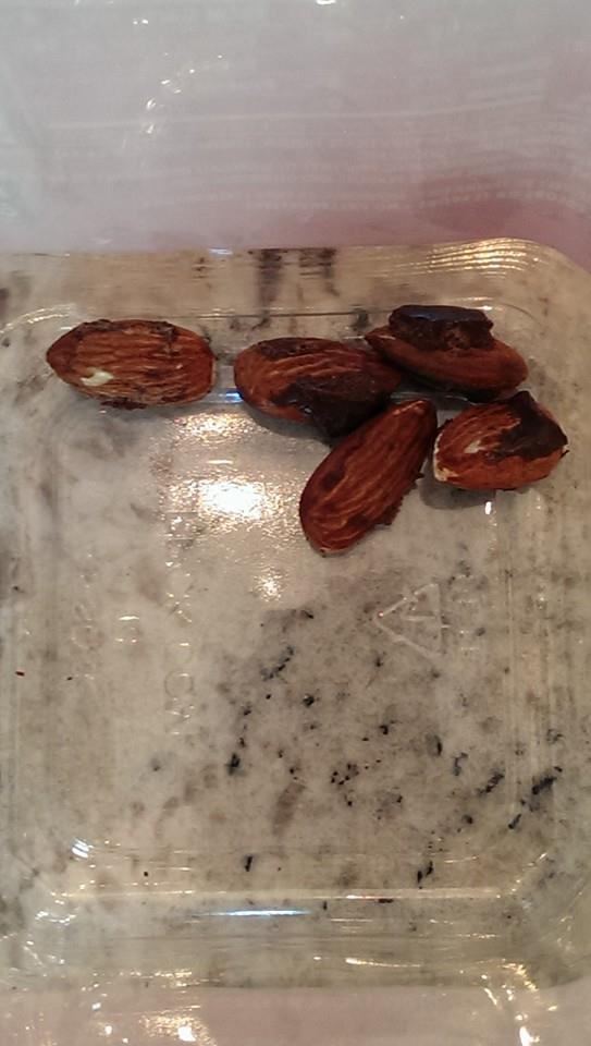 10155624_10152282629704197_630448238_n