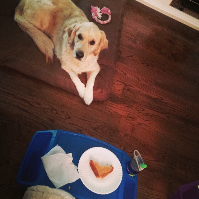 10428660_10152597703919197_2601549632661116304_n