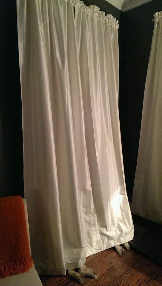 10489928_10152555773409197_5564265275405808517_n